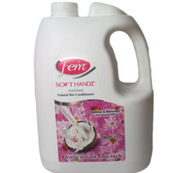 Hand Wash 5 ltr, Fem 