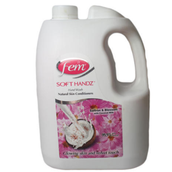 Hand Wash 5 ltr, Fem 